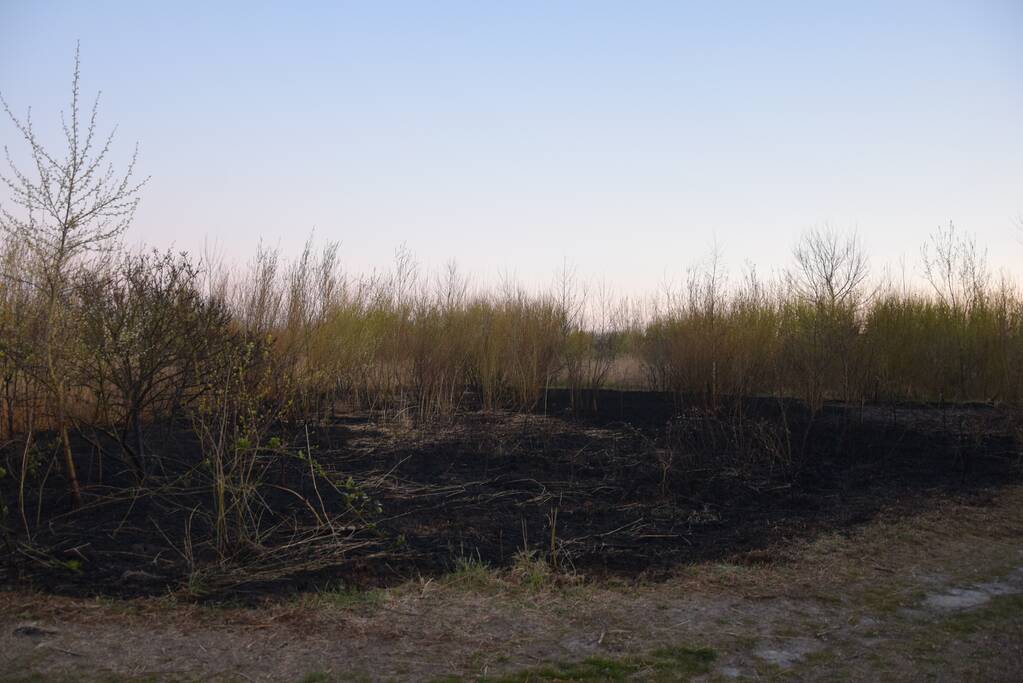 Stuk duingebied langs kust in brand