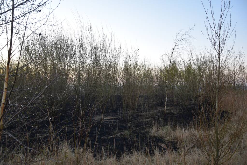 Stuk duingebied langs kust in brand