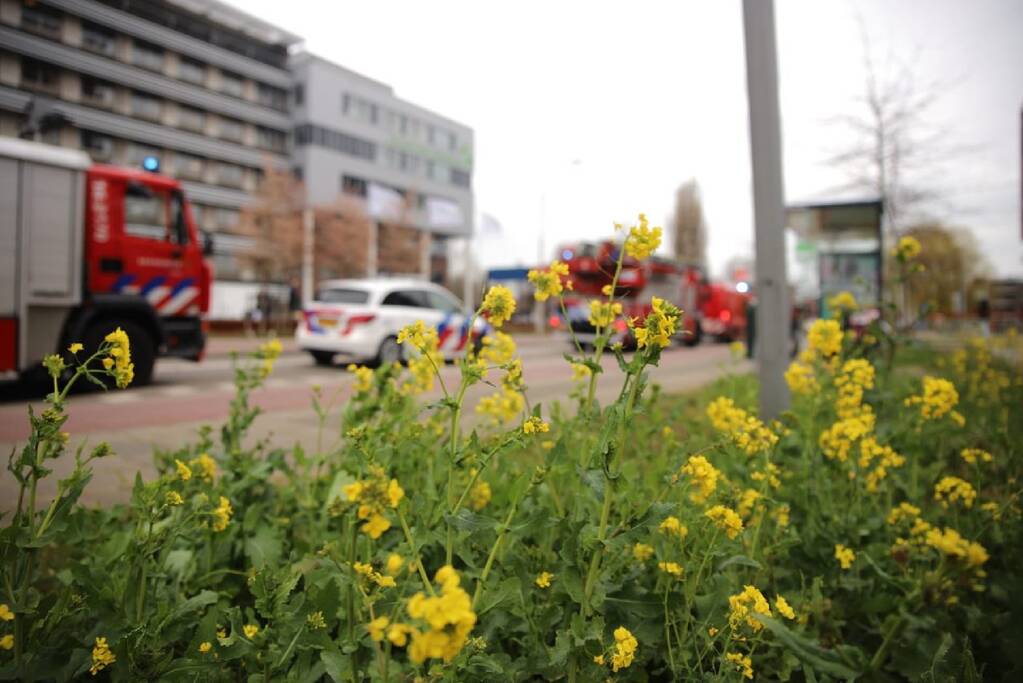 Eerbetoon aan zorgpersoneel Groene Hart Ziekenhuis