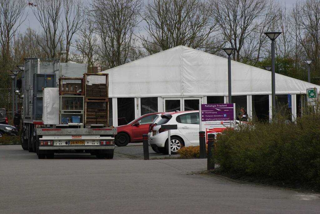Pathologie Friesland testen zorgmedewerkers en kwetsbaren op corona