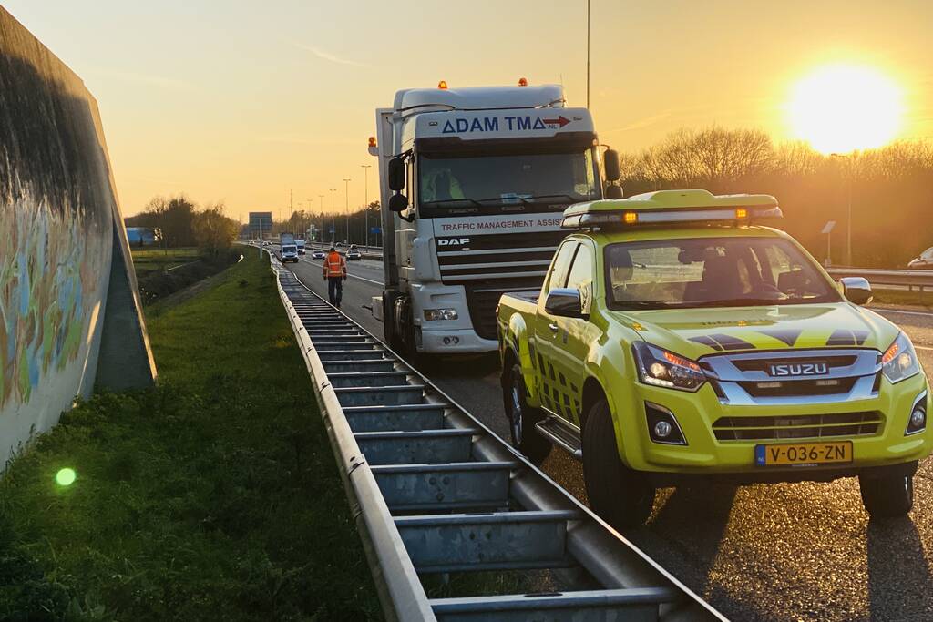 Hond loopt snelweg op