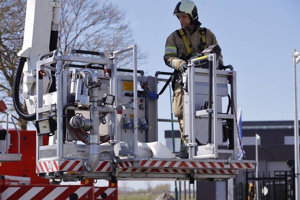 Voorbijgangers vinden dode zwaan in boom