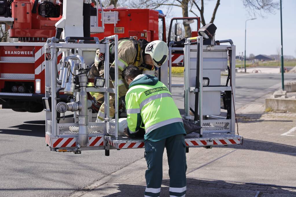 Voorbijgangers vinden dode zwaan in boom