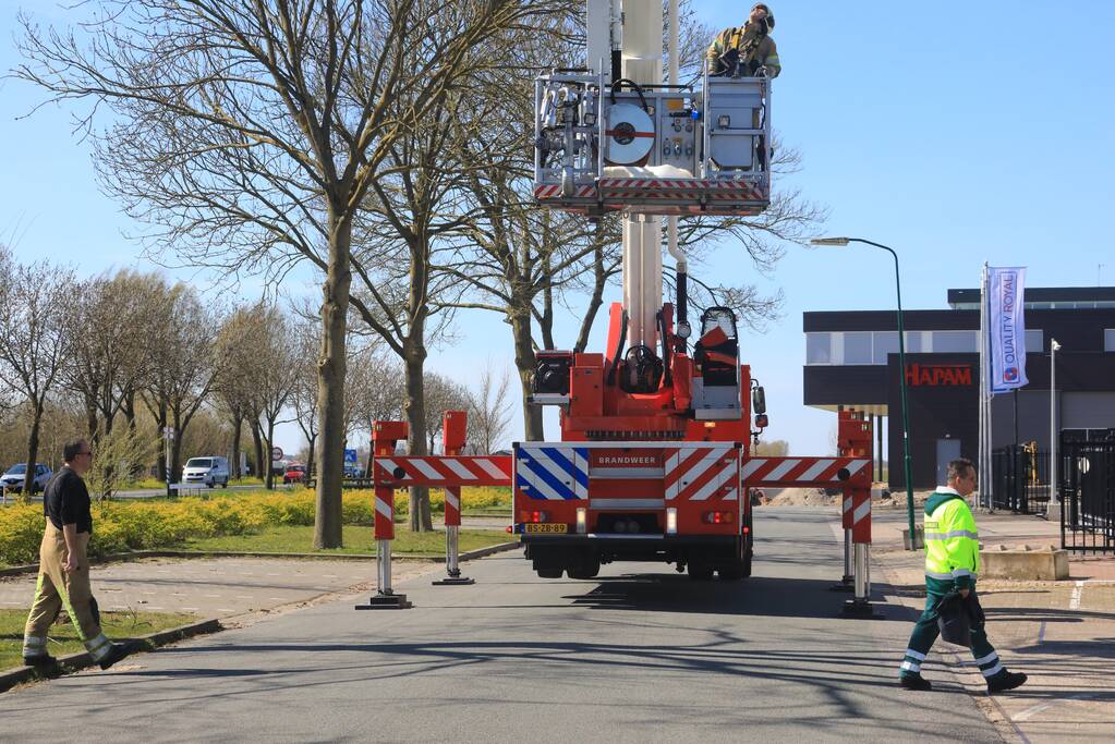 Voorbijgangers vinden dode zwaan in boom