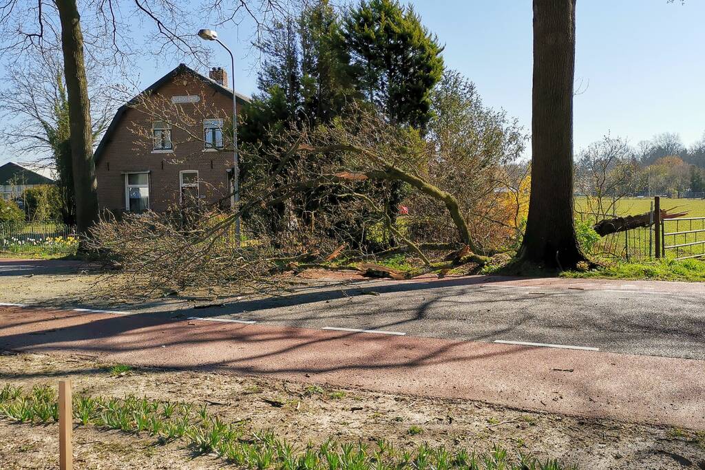 Afgebroken takken verspert weg