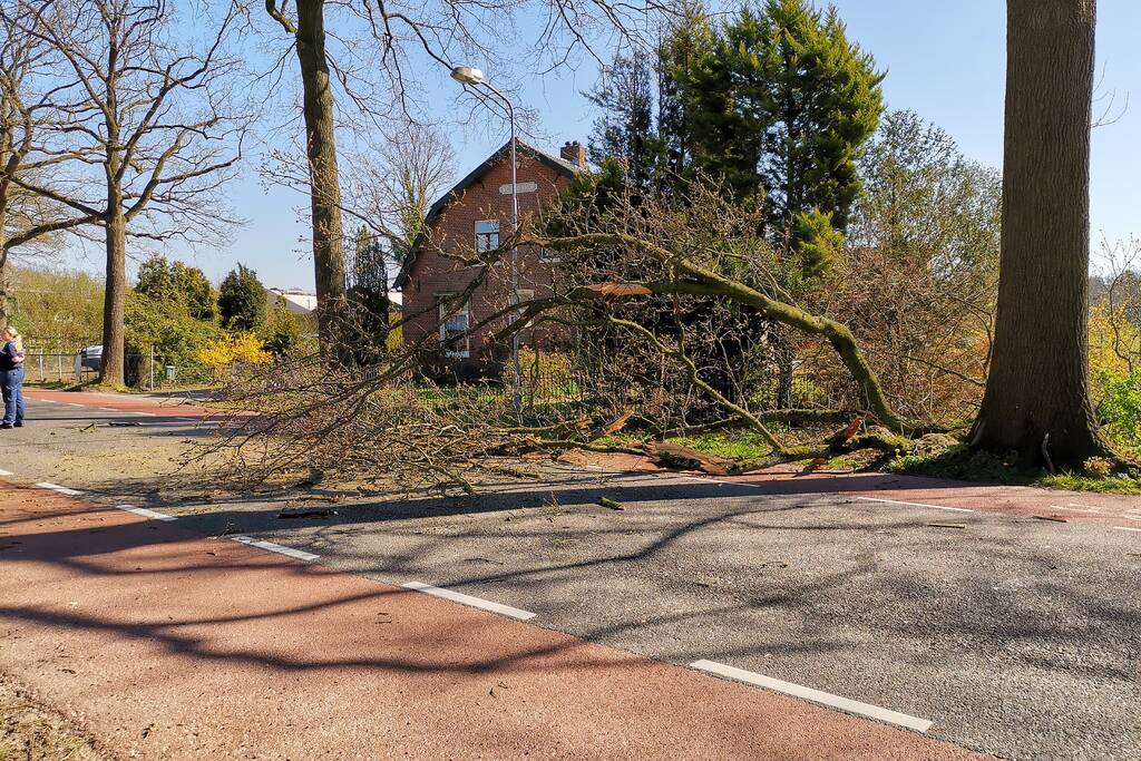 Afgebroken takken verspert weg