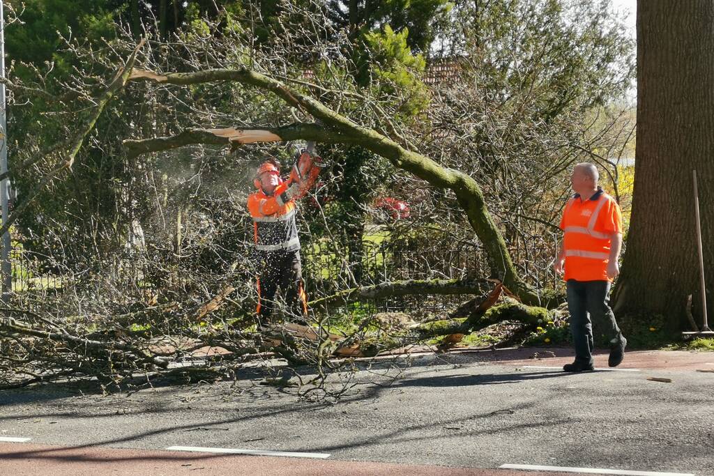 Afgebroken takken verspert weg