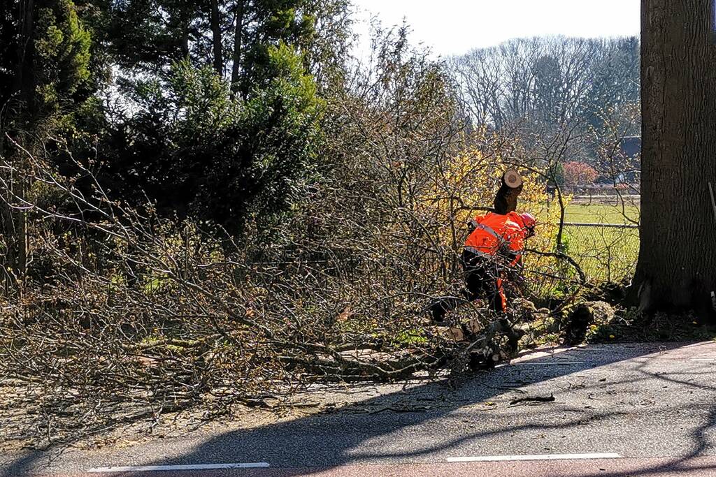 Afgebroken takken verspert weg