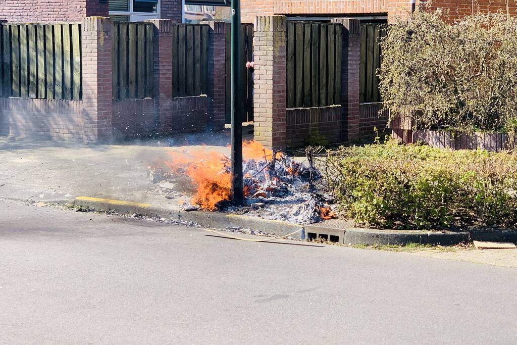 Dozen en struikgewas in brand gevlogen