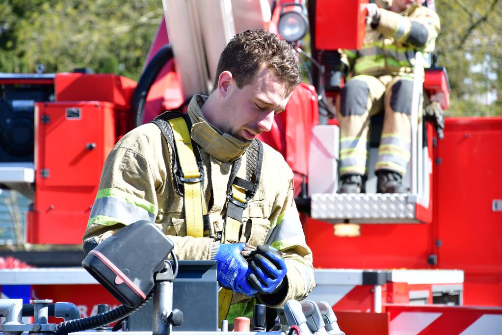 Spreeuw vast onder dakpannen