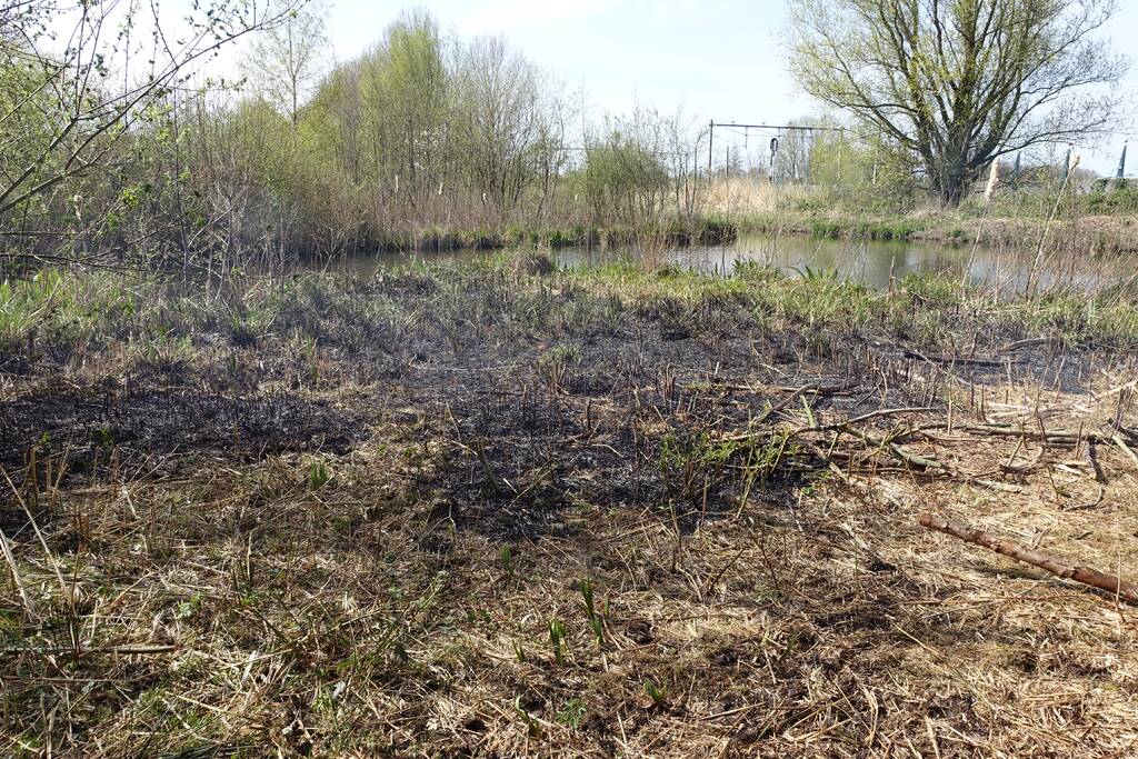 Stuk grasveld vat vlam