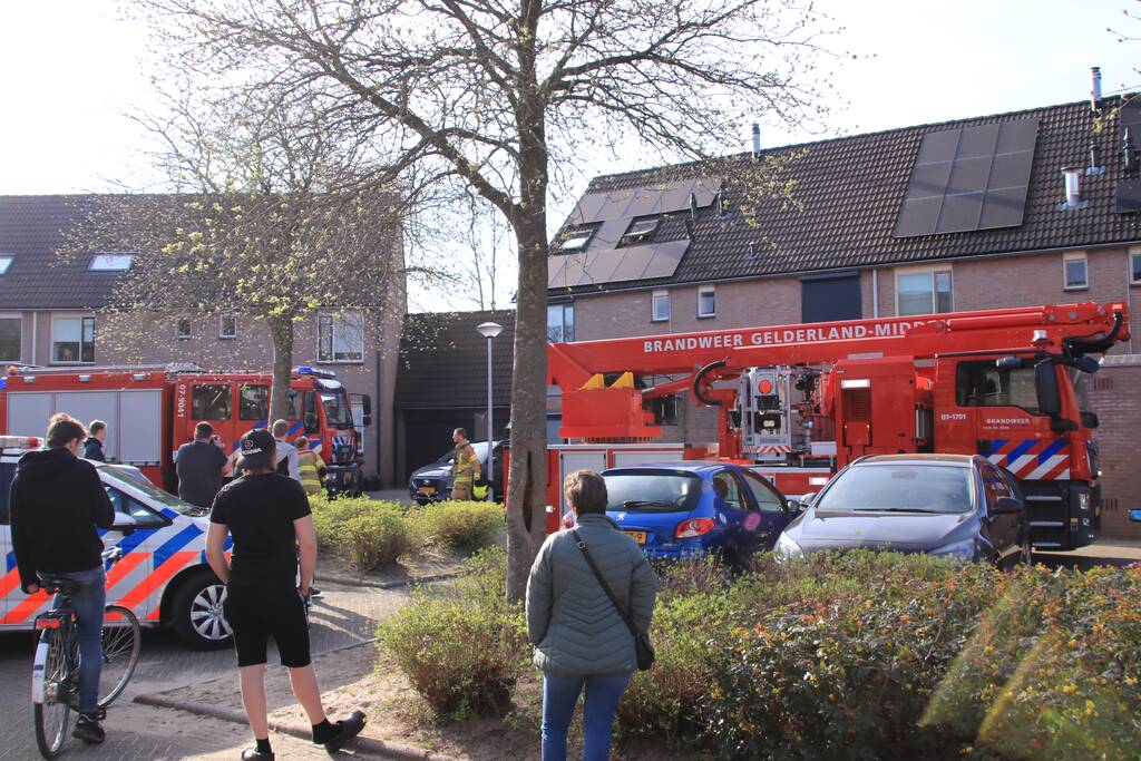 Wespennest wegbranden zorgde voor dakbrand