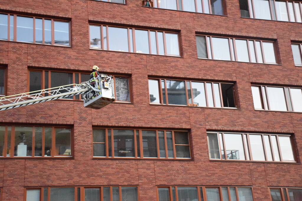 Kat ligt te chillen en loopt naar binnen bij aankomst van de brandweer