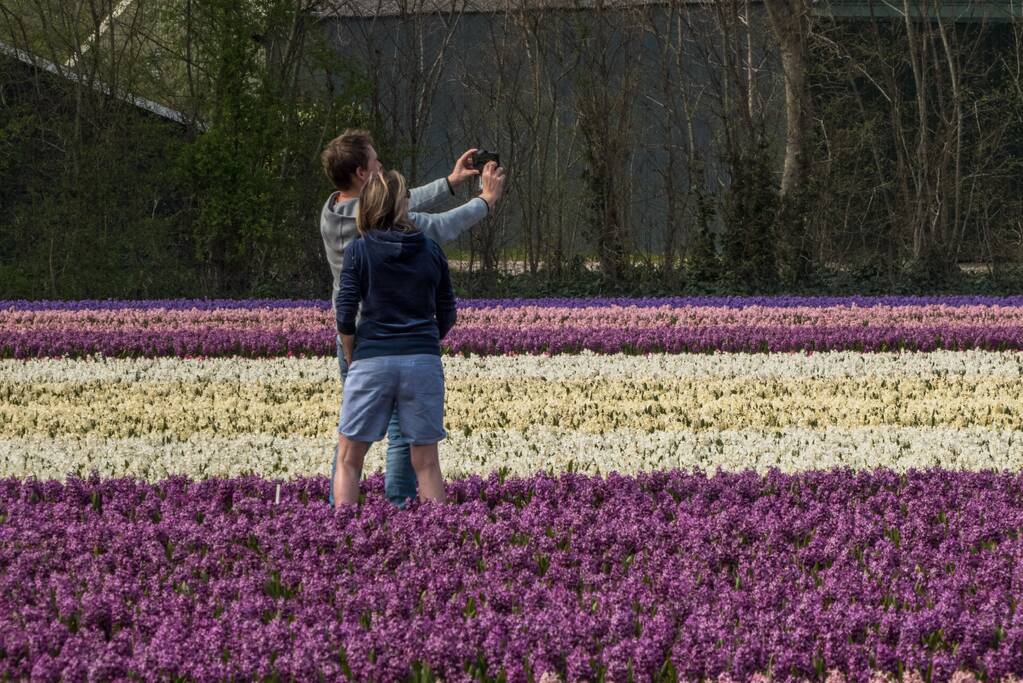 Poseren tussen de bloemen, burgemeester is boos