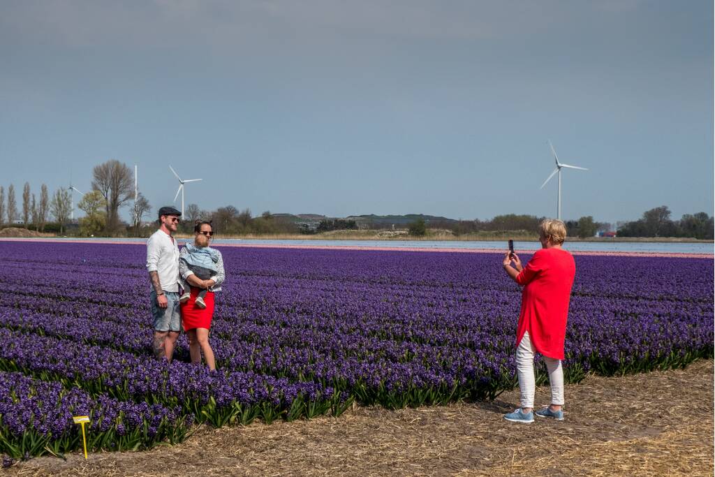 Poseren tussen de bloemen, burgemeester is boos