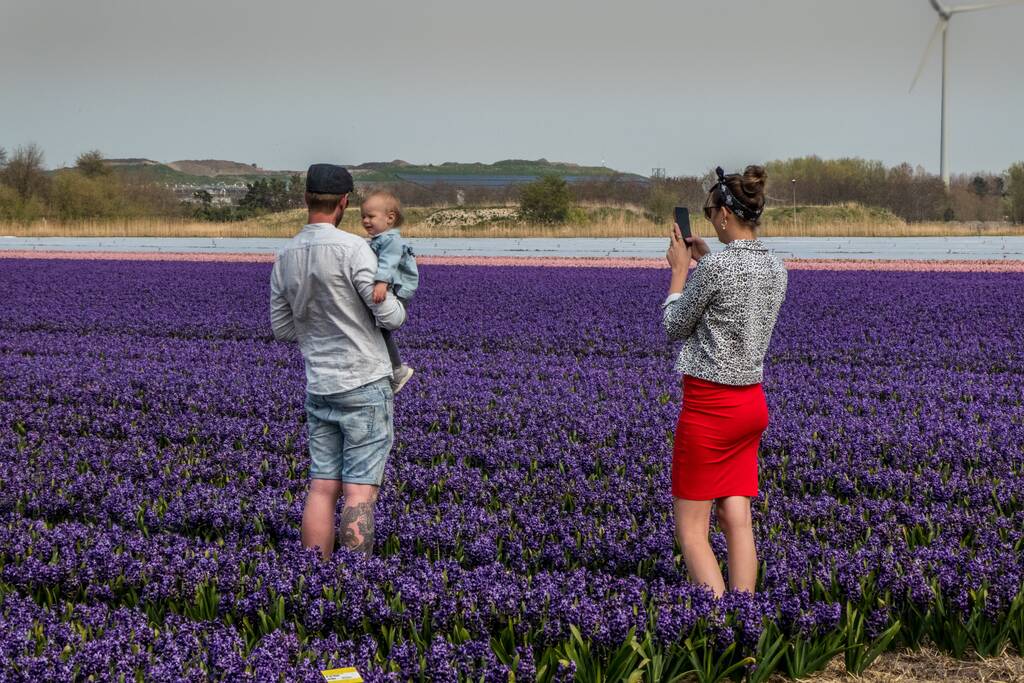Poseren tussen de bloemen, burgemeester is boos