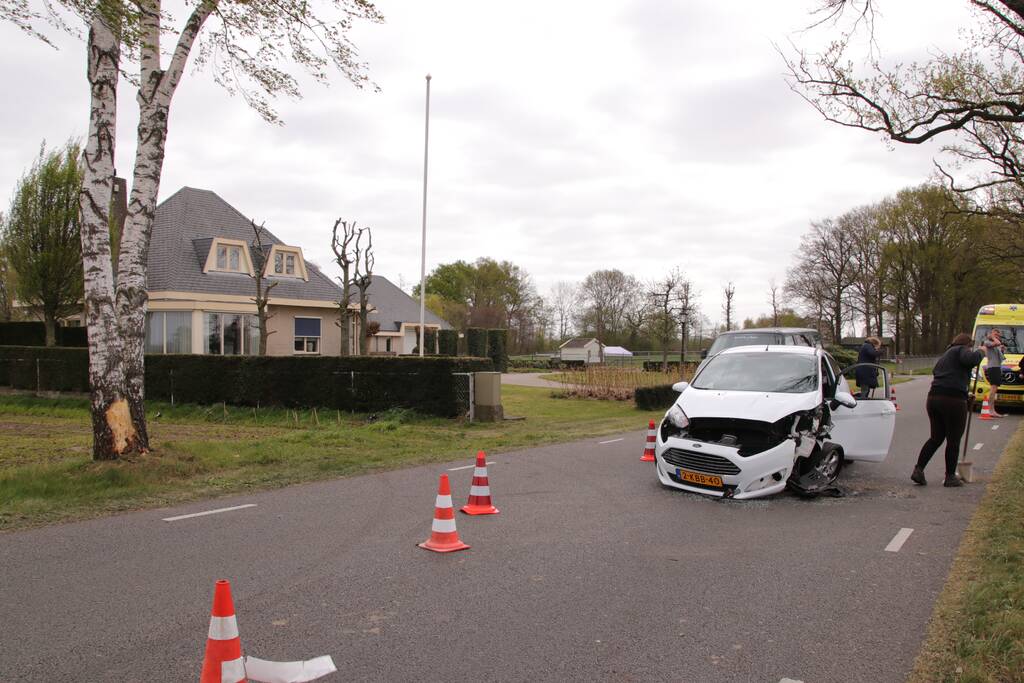 Automobilist botst tegen boom