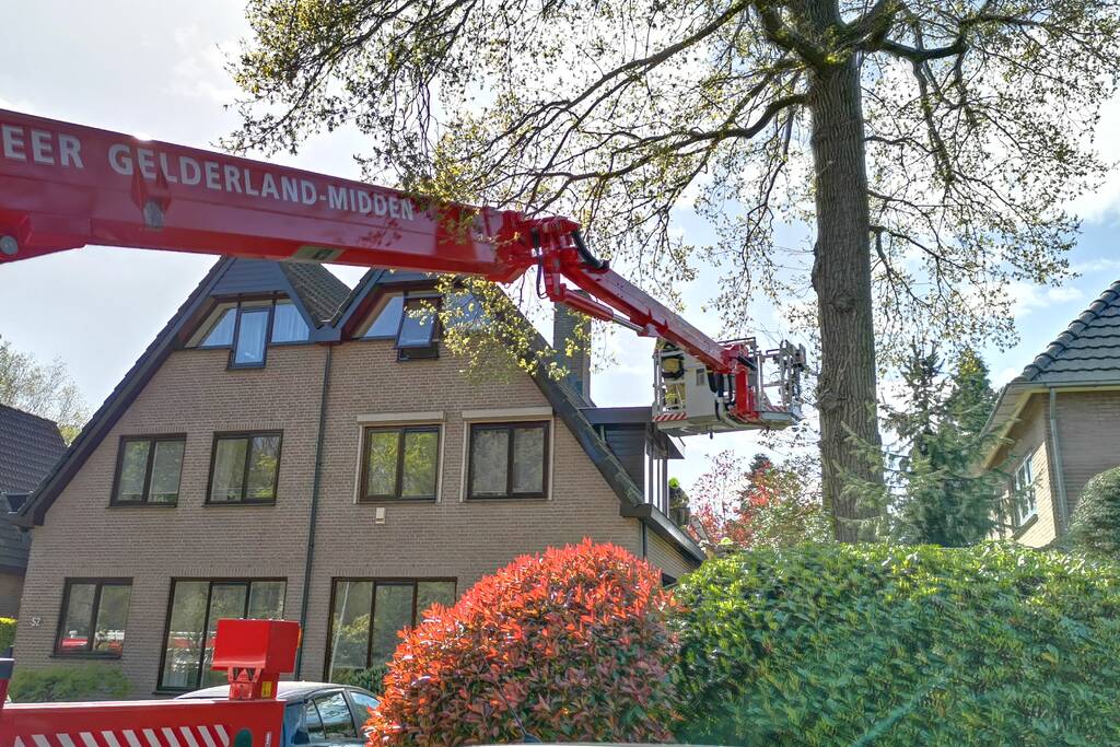 Containerbrand slaat over naar dak