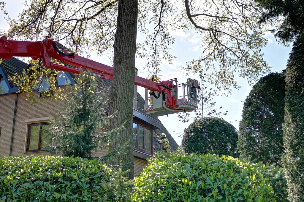 Containerbrand slaat over naar dak