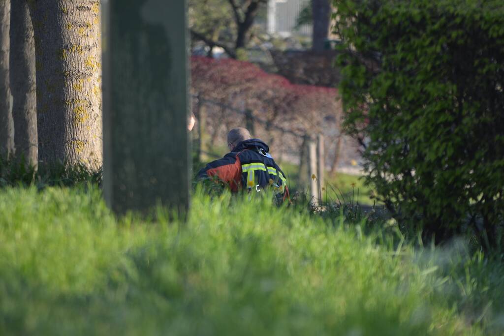 Automobiliste (54) komt om het leven bij ongeval