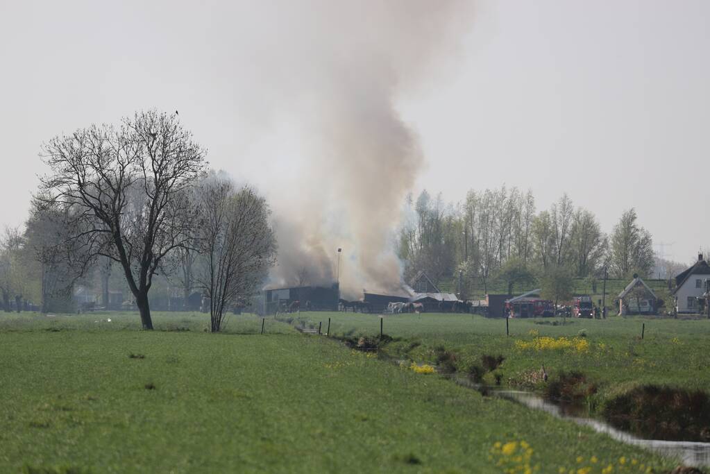 Grote brand in paardenstal