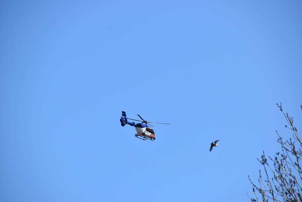 Grote zoekactie naar vermist 6-jarig meisje Gouwebos