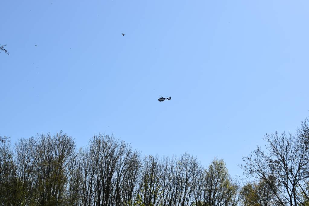 Grote zoekactie naar vermist 6-jarig meisje Gouwebos