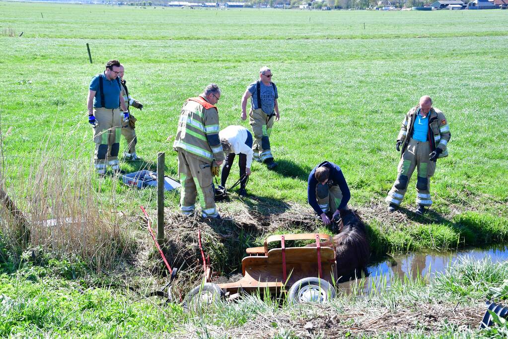 Brandweer redt pony met kar uit sloot