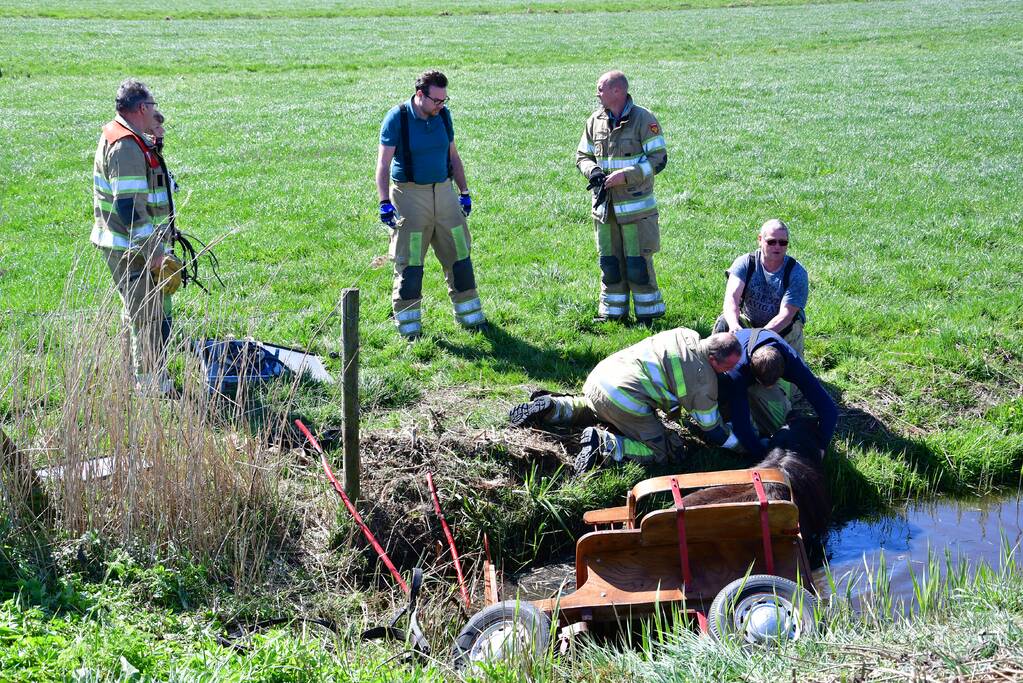 Brandweer redt pony met kar uit sloot