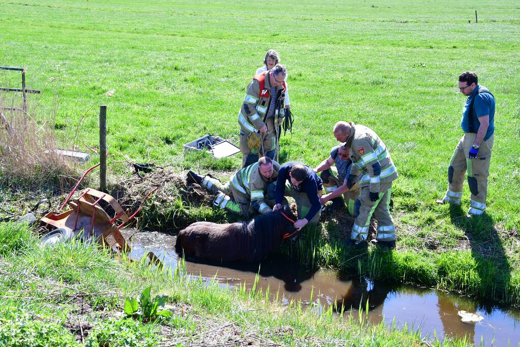 Brandweer redt pony met kar uit sloot