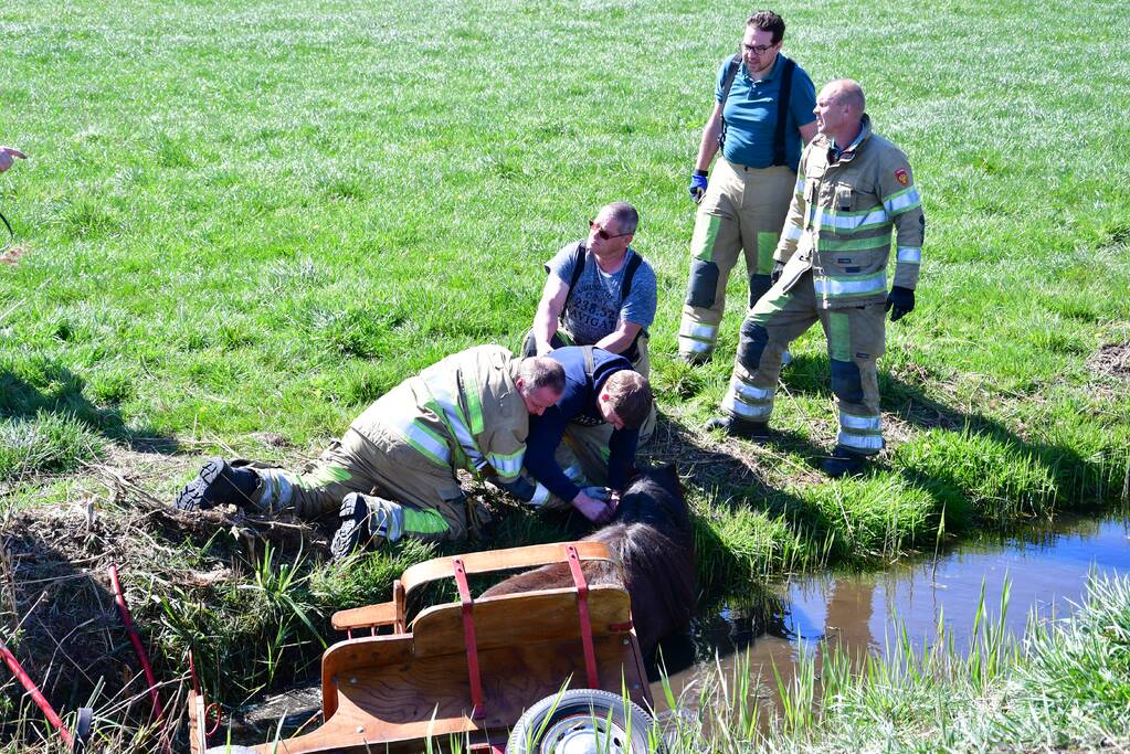 Brandweer redt pony met kar uit sloot