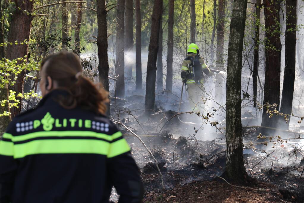 Stuk bosgebied afgebrand