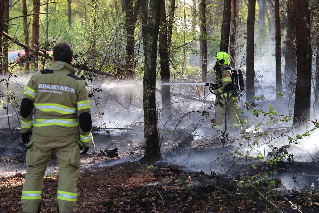 Stuk bosgebied afgebrand