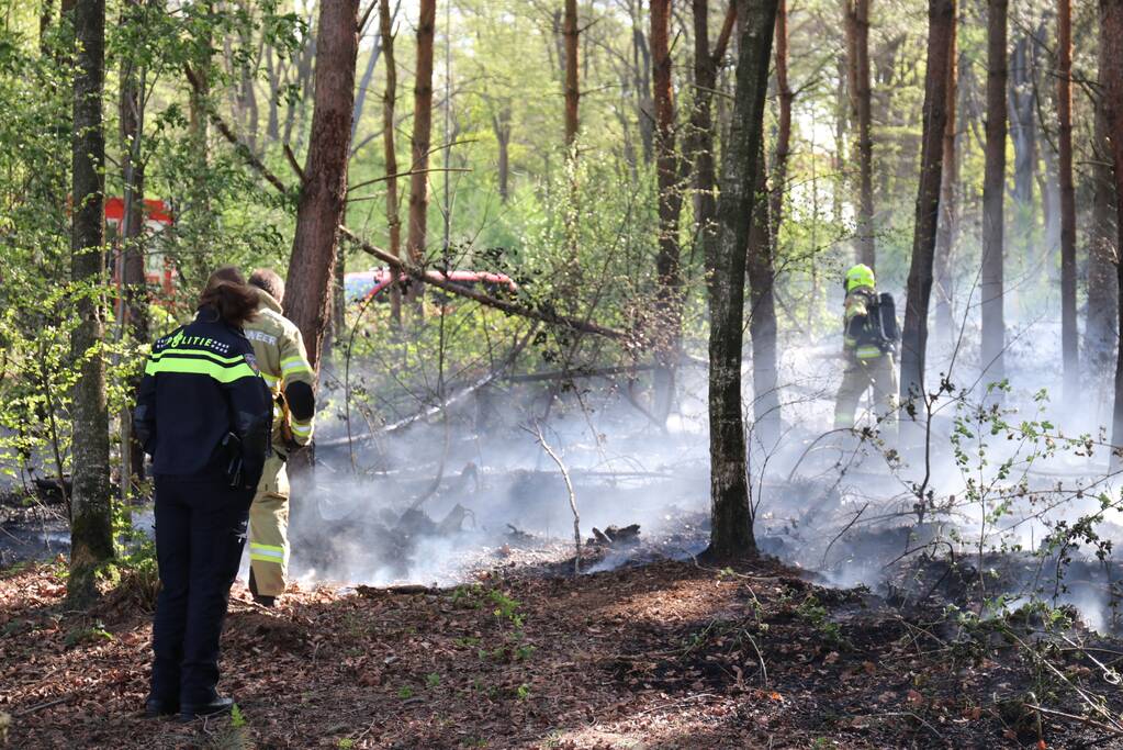 Stuk bosgebied afgebrand