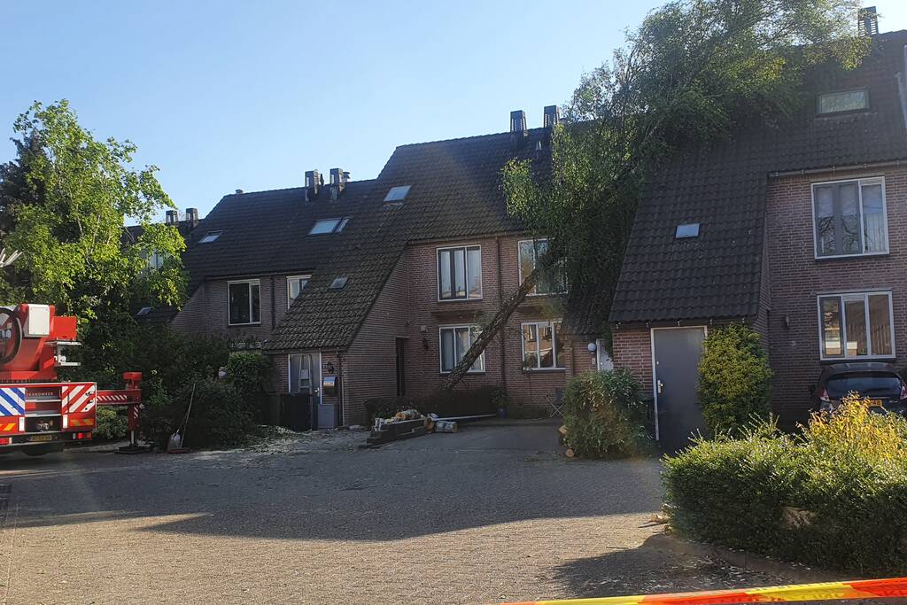 Boom omgevallen op woning