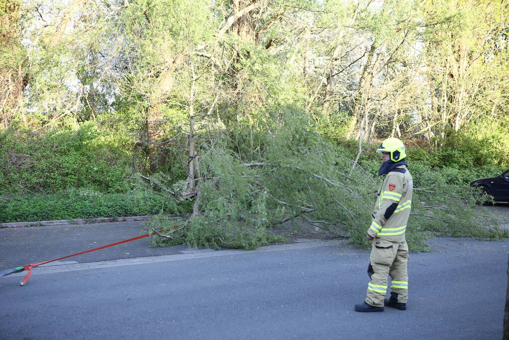 Brandweer trekt takken van boom af