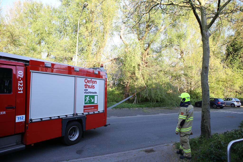 Brandweer trekt takken van boom af