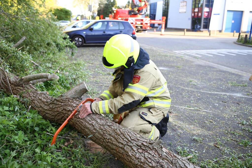 Brandweer trekt takken van boom af