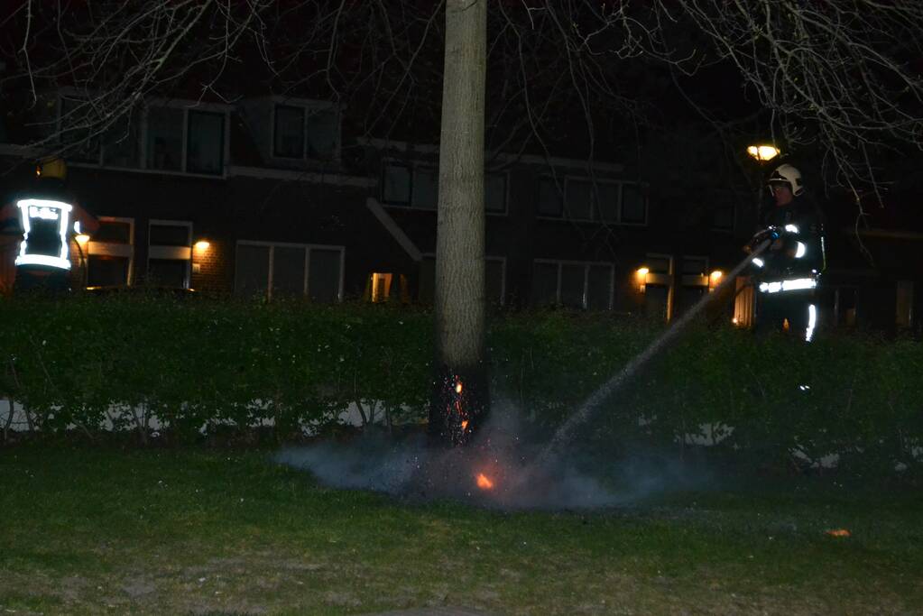 Brandende boom snel geblust
