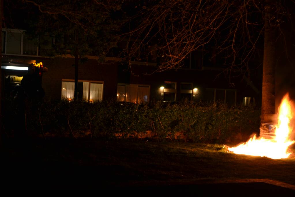 Brandende boom snel geblust