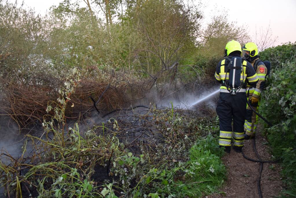 Stuk bosschage langs de Maas vat vlam