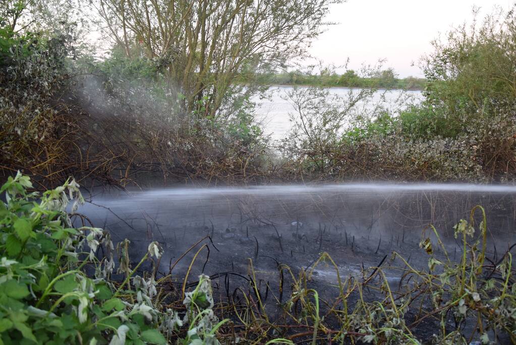Stuk bosschage langs de Maas vat vlam