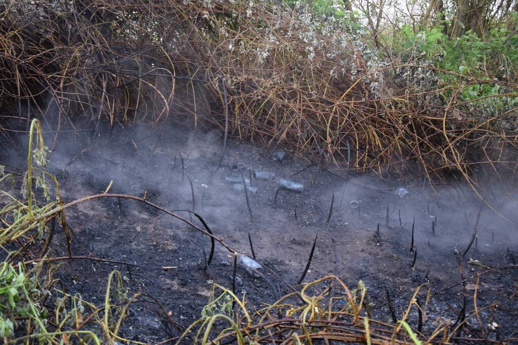 Stuk bosschage langs de Maas vat vlam