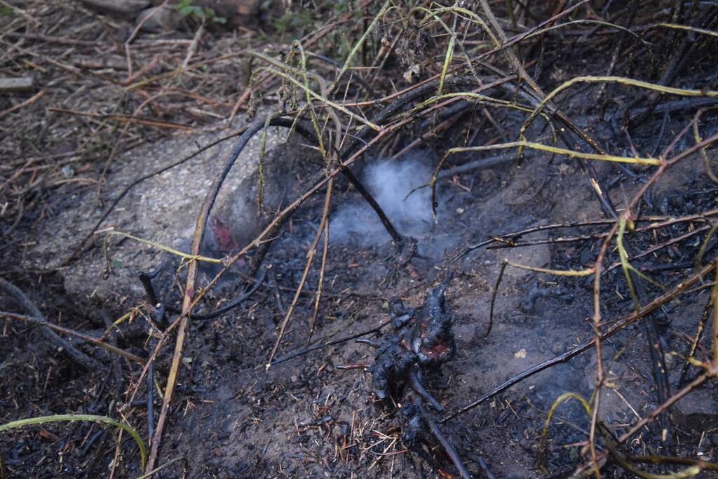 Stuk bosschage langs de Maas vat vlam