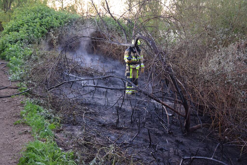 Stuk bosschage langs de Maas vat vlam
