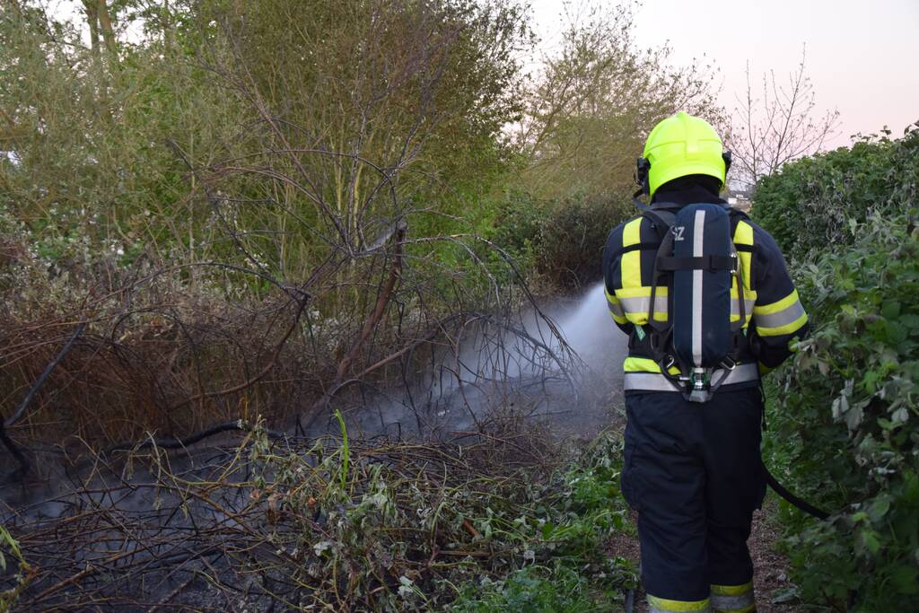 Stuk bosschage langs de Maas vat vlam