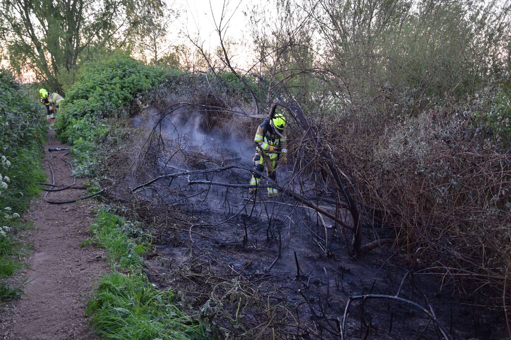 Stuk bosschage langs de Maas vat vlam