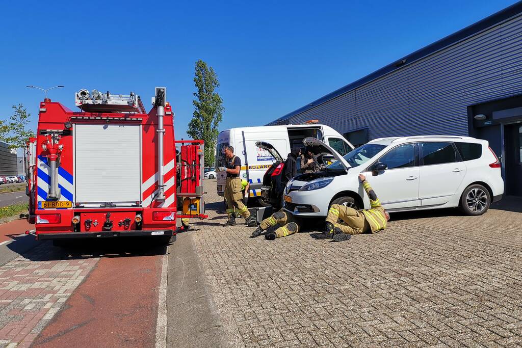 Kat vast in motorcompartiment van auto