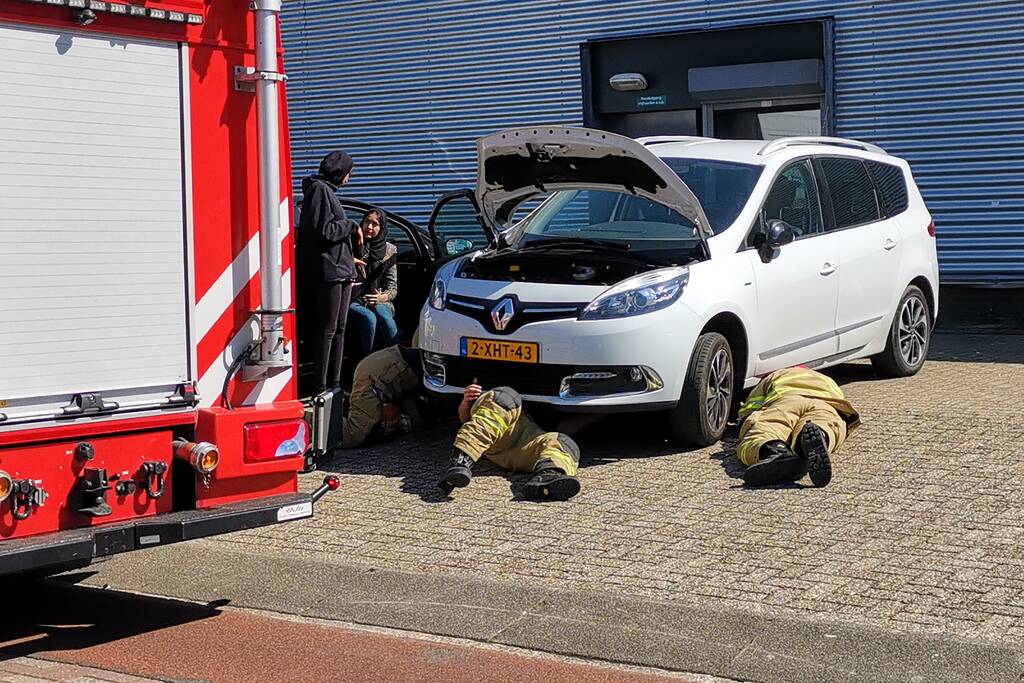 Kat vast in motorcompartiment van auto