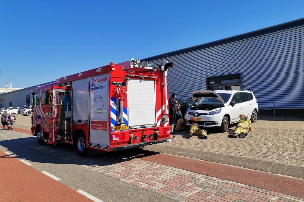 Kat vast in motorcompartiment van auto